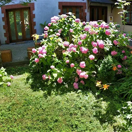 Homely Garden Old Town Διαμέρισμα *